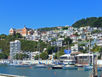 Wellington harbour