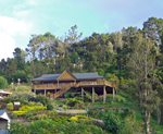 House on the hill above Tairua